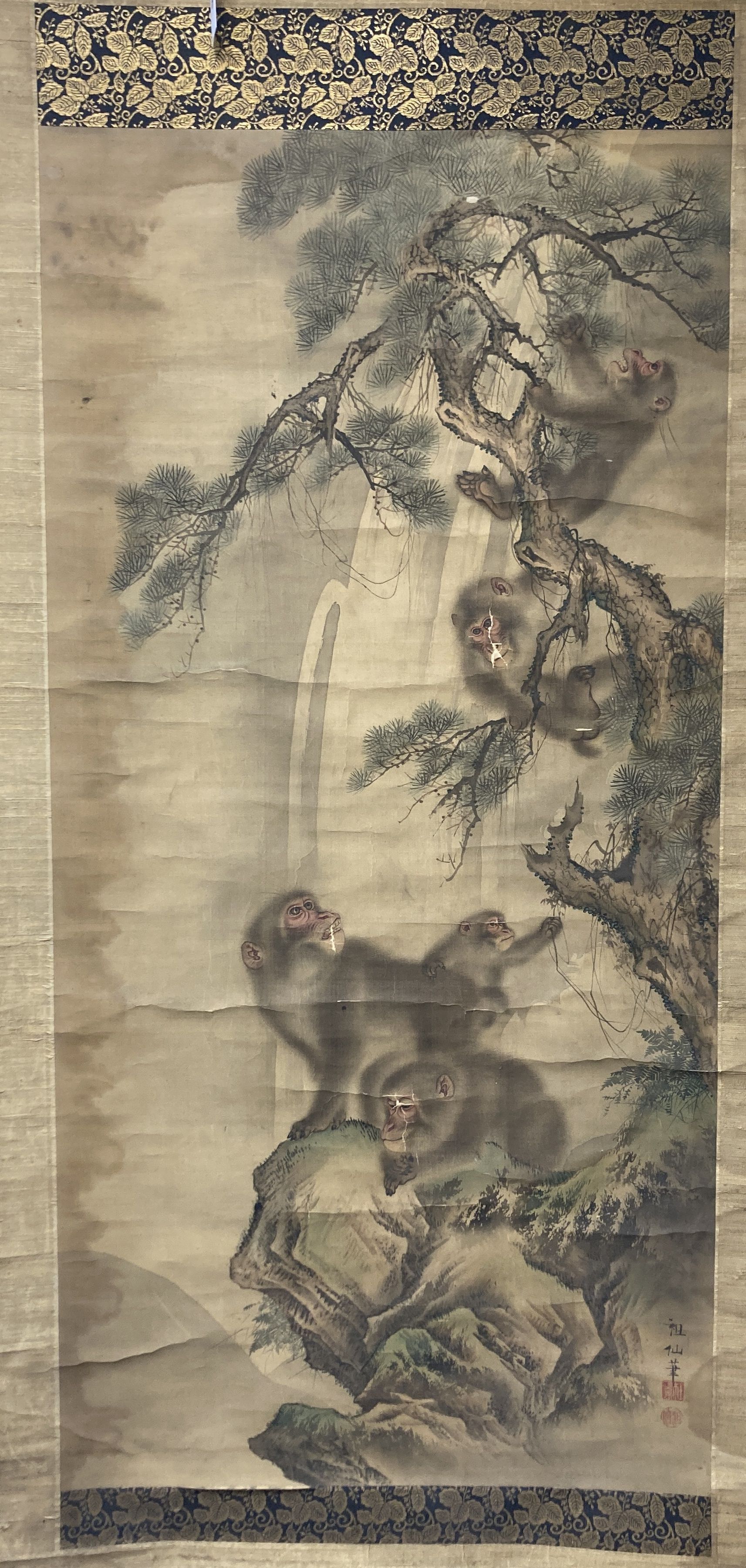 A Japanese Meiji period scroll painting on silk of monkeys amid pine trees, 113 x 55cm, some damage